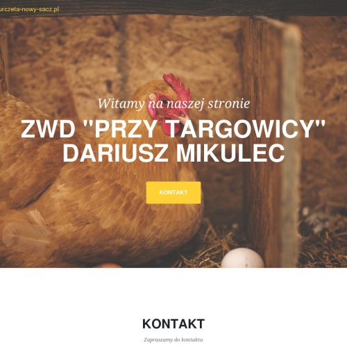 Kury - Nowy Sącz