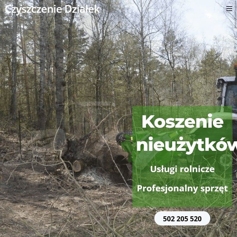 Wycinka drzew - Warszawa